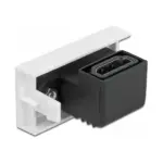 Elektros lizdas DeLOCK 81304