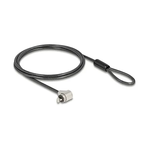 DeLOCK 20974 cable lock Apsauginis lynas DeLOCK 20974