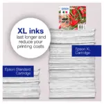 Rašalo kasetė Epson 503 (C13T09Q24010), vaizdas 15