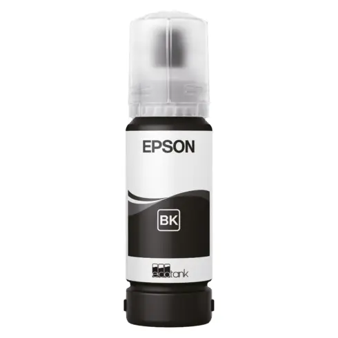 Spausdintuvo priedas Epson 107 (C13T09B140)