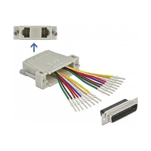 Kabelio adapteris DeLOCK 66833