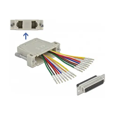 Kabelio adapteris DeLOCK 66836
