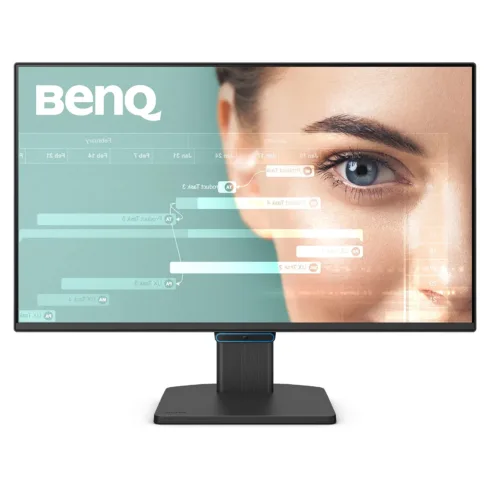 Monitorius BenQ GW2490C (9H.LNKLB.QBE)