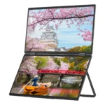 JAPANNEXT JN-DMD-IPS156F computer monitor