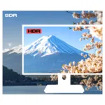 JAPANNEXT JN-IPS2152FHDR-C65W-FLD-T computer monitor