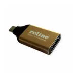 Kabelio adapteris ROLINE 12.03.3231
