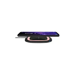 RealPower FreeCharge-10 Įkroviklis RealPower FreeCharge-10 (266105)