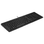 Klaviatūra HP 125 G2 USB Wired (AY2Y7AA#ABB), vaizdas 2