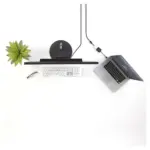 Vaizdo adapteris StarTech.com MDP2DVI, vaizdas 4