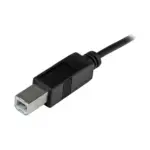 USB kabelis StarTech.com USB2CB2M, vaizdas 3