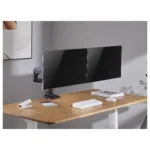 Monitoriaus laikiklis Equip 650182, vaizdas 8