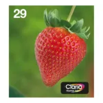 Epson Strawberry C13T29864511 ink cartridge