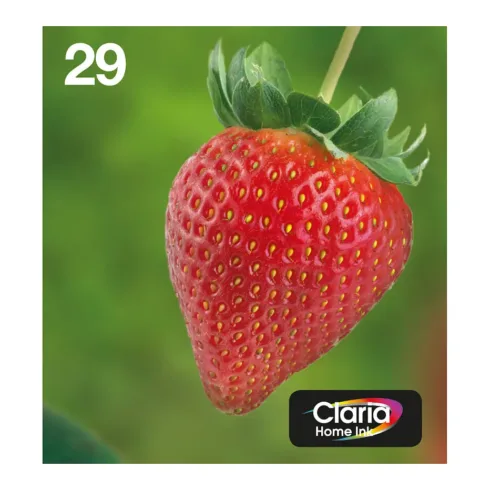 Epson Strawberry C13T29864511 ink cartridge