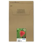 Epson Strawberry C13T29864511 ink cartridge