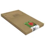 Epson Strawberry C13T29864511 ink cartridge