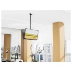 Equip 650377 TV mount/stand