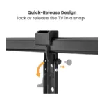 VALUE 17.99.1227 TV mount/stand