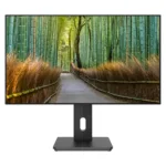 JAPANNEXT JN-27IPS4FLWQHDR-HSP computer monitor