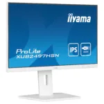 iiyama ProLite XUB2497HSN-W2 computer monitor