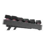 CHERRY MX 8.2 TKL Wireless RGB keyboard