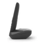 Gigaset AS690 Duo