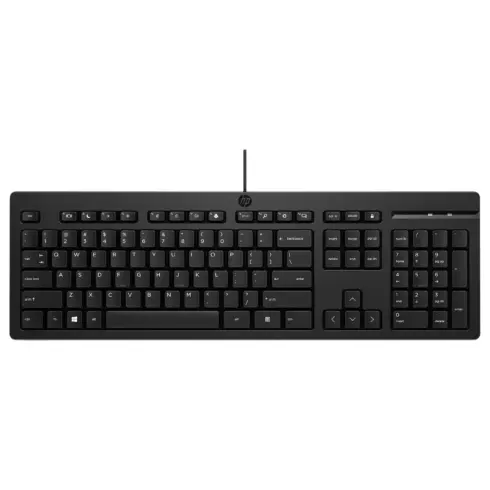 Klaviatūra HP 125 USB KEYBOARD SPANISH (266C9AA#ABE)