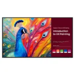 Komercinis ekranas BenQ SH6504 (9H.S3TTB.DE2)