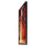 Samsung OM55N-S