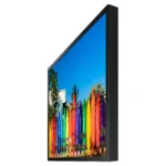 Samsung OM55B