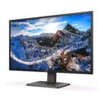 Philips P Line 439P1/00 computer monitor