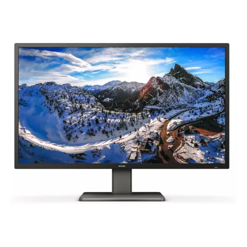 Philips P Line 439P1/00 computer monitor