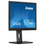 Monitorius iiyama ProLite B1980S-B1, vaizdas 4
