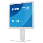 iiyama ProLite B1980S-W1 computer monitor