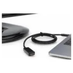 Vaizdo adapteris Digitus AK-300330-020-S, vaizdas 4