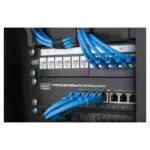 Serverinės spintos priedas Digitus DN-10-ORG-1-2U-B, vaizdas 2