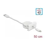 Kabelis DeLOCK 81331 lightning, vaizdas 2