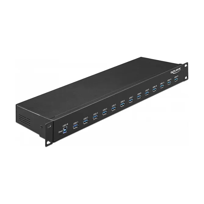 DeLOCK 64039 interface hub Šakotuvas DeLOCK 64039