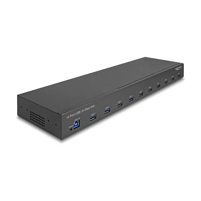 DeLOCK 64240 interface hub Šakotuvas DeLOCK 64240