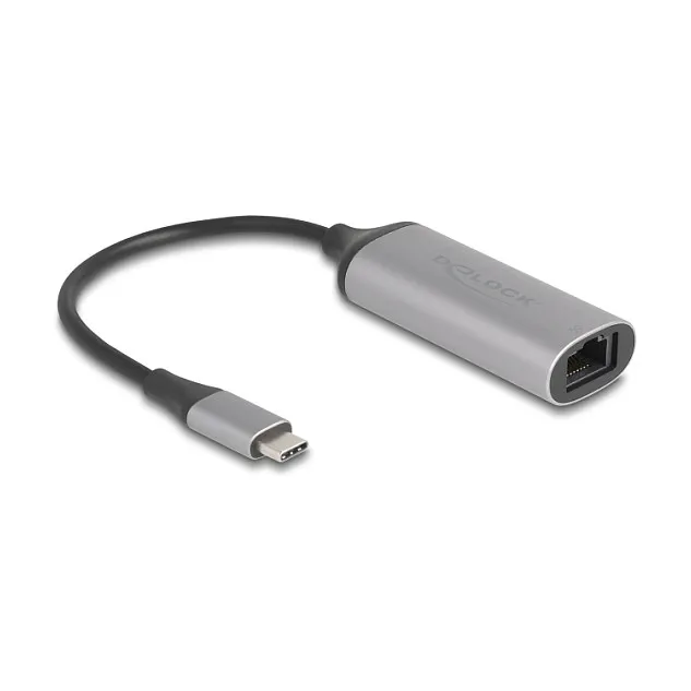 DeLOCK 81570 cable gender changer Kabelio adapteris DeLOCK 81570