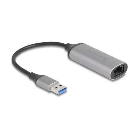 Kabelio adapteris DeLOCK 81571