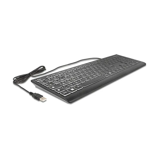 DeLOCK 12170 keyboard Klaviatūra DeLOCK 12170