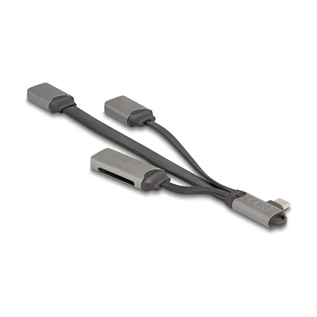 DeLOCK 64303 interface hub Šakotuvas DeLOCK 64303
