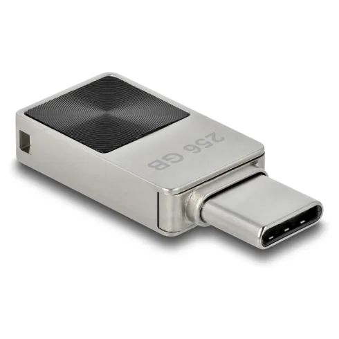 USB atmintinė DeLOCK 54009