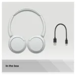 Sony WH-CH520