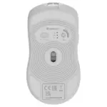 Pelė GENESIS Zircon 500 G2 (NMG-2114), vaizdas 4