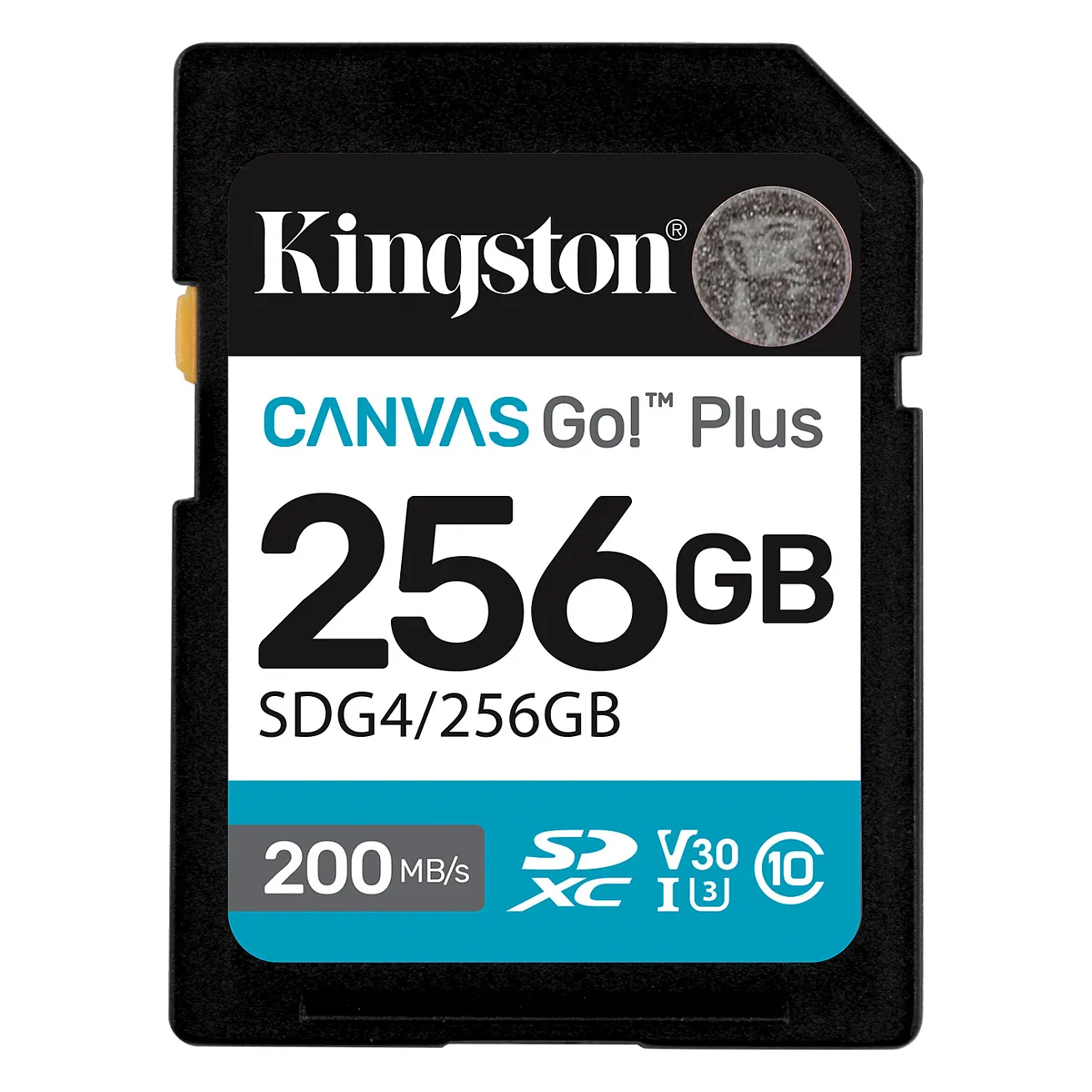Kingston Technology Canvas Go! Plus Kingston Technology Canvas Go! Plus