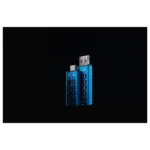 Kingston Technology IronKey Keypad 200 USB flash drive