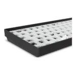 Sharkoon SGK50 S2 keyboard