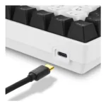 Sharkoon SKILLER SGK50 S3 keyboard