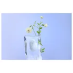 Pelė ASUS Fragrance MD101 (90XB08U0-BMU010), vaizdas 11